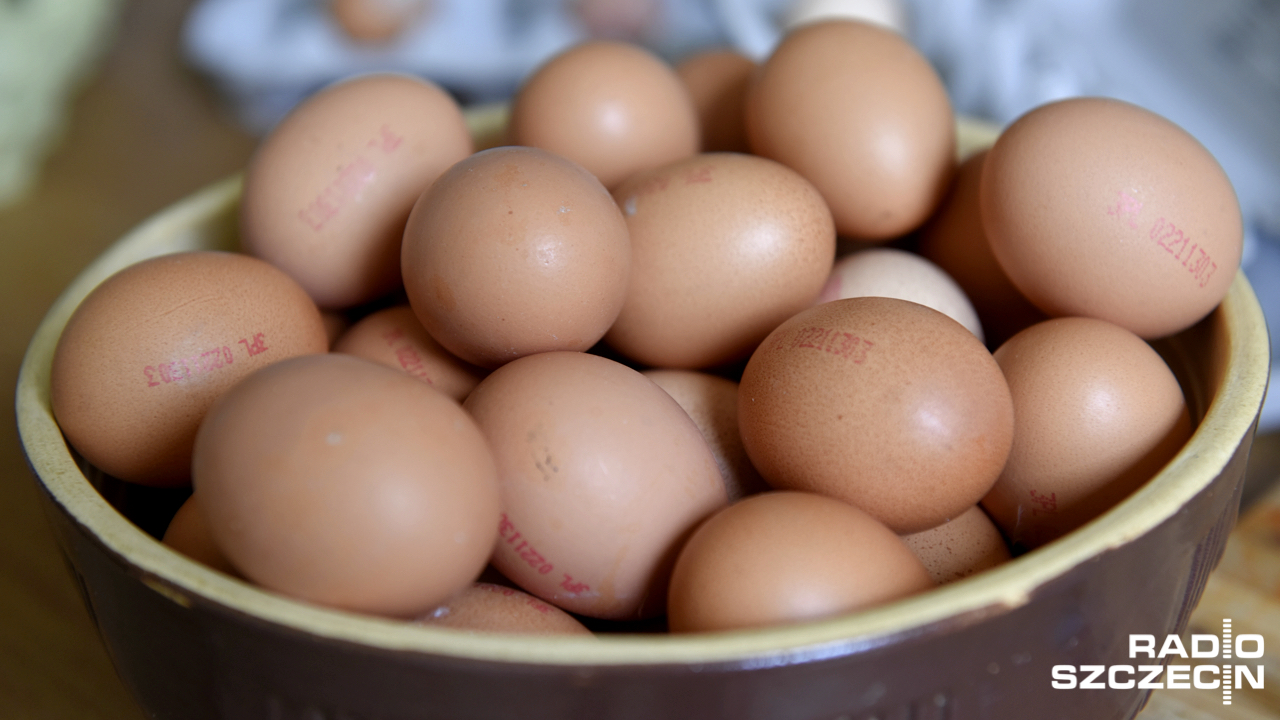 Nie rozważamy teraz zakazu importu na polskie produkty - informują Brytyjczycy. W rozmowie z Polskim Radiem przedstawiciele Agencji ds. Standardów Żywności dementują doniesienia niektórych mediów, jakoby obawy związane z salmonellą miały zamknąć drogę do Królestwa dla polskich jajek i drobiu.